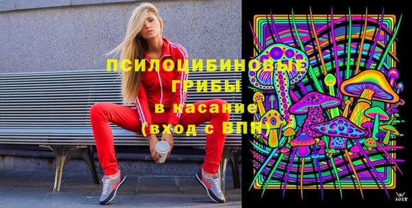 герыч Козловка