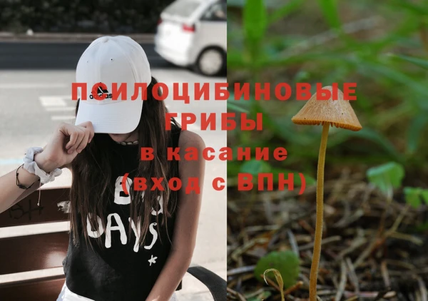 герыч Козловка