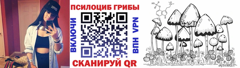 Купить  Вятские Поляны  Галлюциногенные грибы прущие грибы 